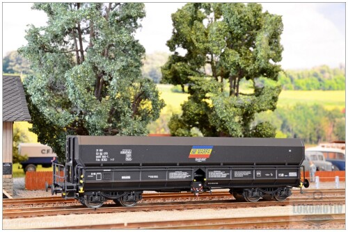 DSC 8903