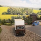 IMG_20250816_113309720