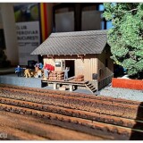 IMG_20261011_092446024_HDR