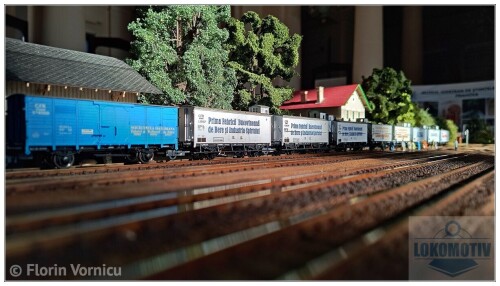 IMG 20261011 092711080 HDR